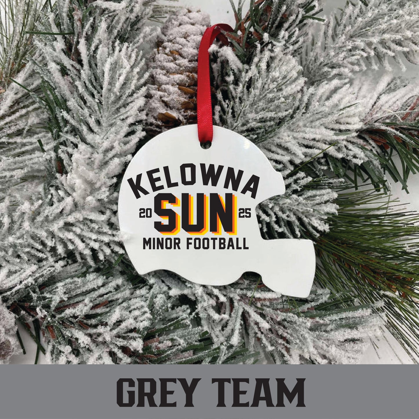 Helmet Ornament - GREY Team